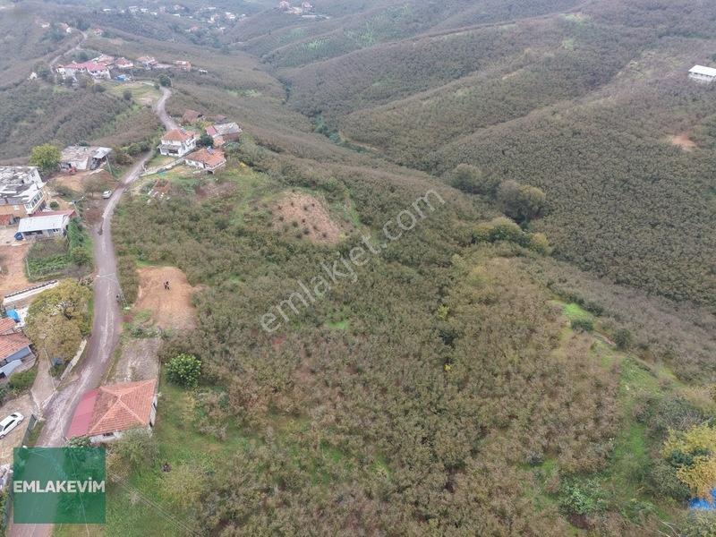 Emlak Evim - Hendek Dereköy De 1.750 M2 Konut İmarlı Arsa — fotoğraf 14