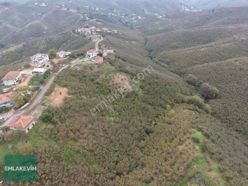 Emlak Evim - Hendek Dereköy De 1.750 M2 Konut İmarlı Arsa — fotoğraf 15