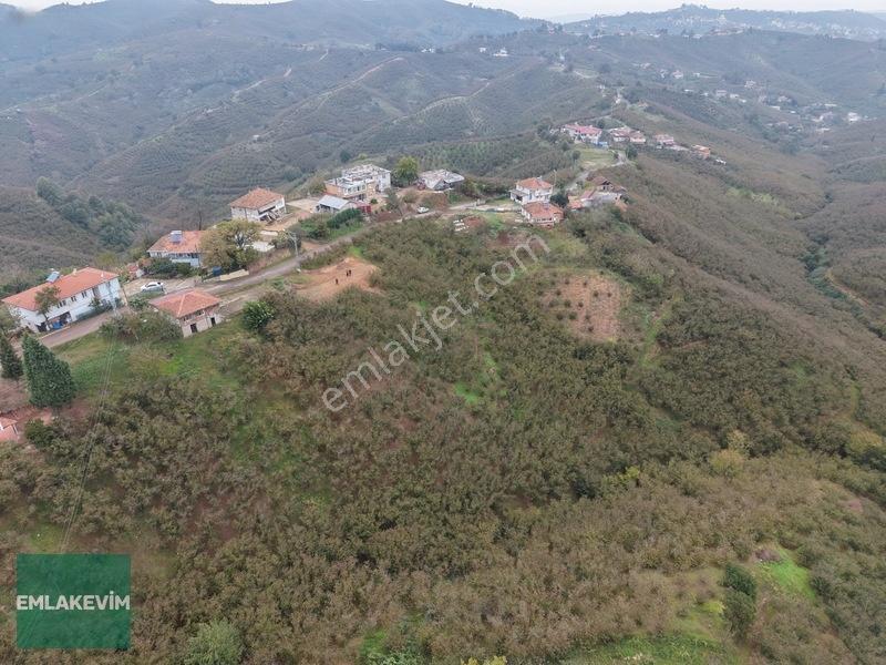 Emlak Evim - Hendek Dereköy De 1.750 M2 Konut İmarlı Arsa — fotoğraf 16
