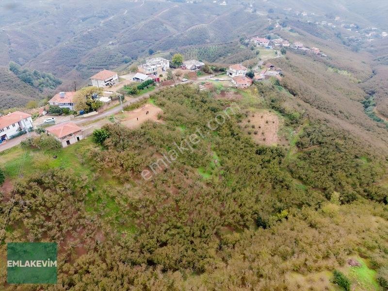 Emlak Evim - Hendek Dereköy De 1.750 M2 Konut İmarlı Arsa — fotoğraf 17