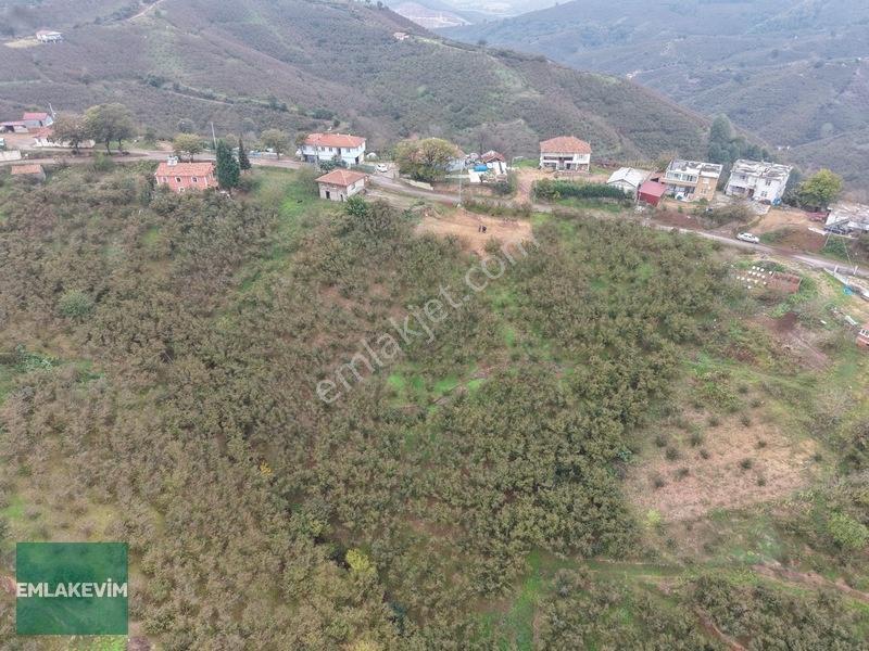 Emlak Evim - Hendek Dereköy De 1.750 M2 Konut İmarlı Arsa — fotoğraf 18