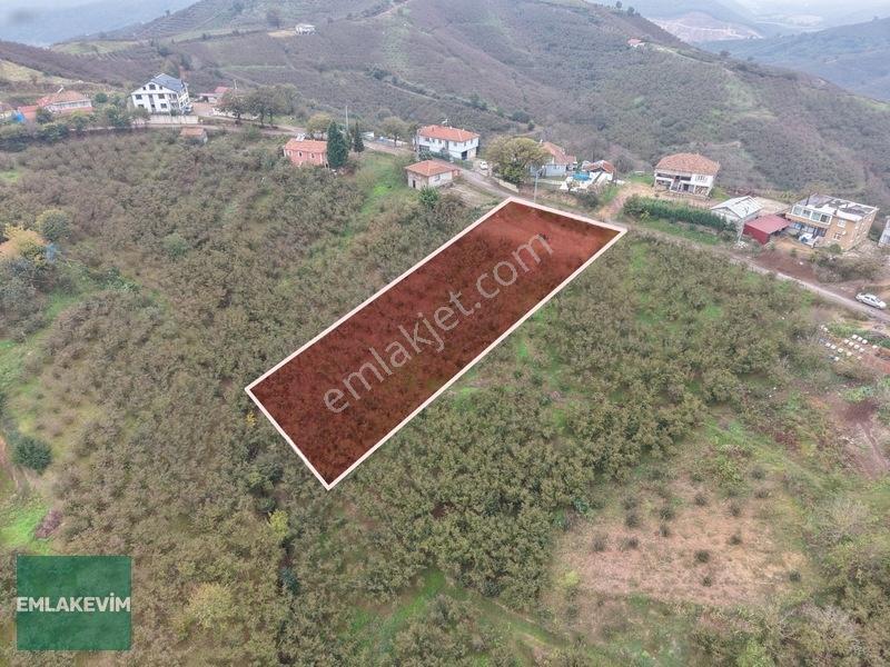 Emlak Evim - Hendek Dereköy De 1.750 M2 Konut İmarlı Arsa — fotoğraf 19