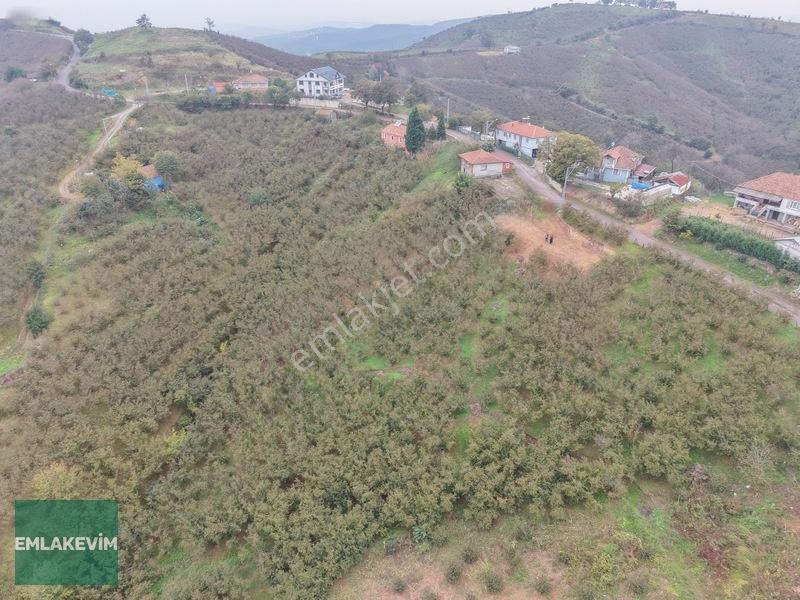 Emlak Evim - Hendek Dereköy De 1.750 M2 Konut İmarlı Arsa — fotoğraf 20