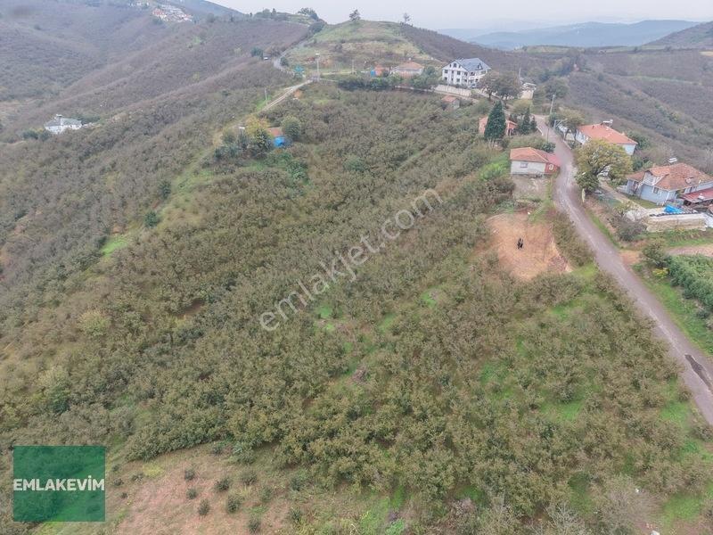 Emlak Evim - Hendek Dereköy De 1.750 M2 Konut İmarlı Arsa — fotoğraf 21