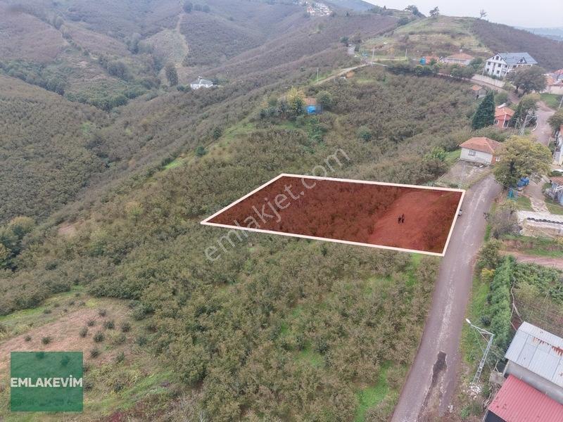 Emlak Evim - Hendek Dereköy De 1.750 M2 Konut İmarlı Arsa — fotoğraf 22
