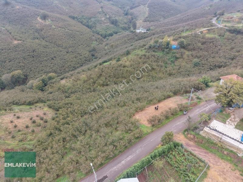 Emlak Evim - Hendek Dereköy De 1.750 M2 Konut İmarlı Arsa — fotoğraf 23