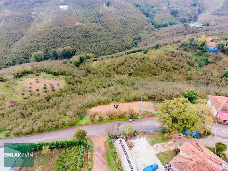 Emlak Evim - Hendek Dereköy De 1.750 M2 Konut İmarlı Arsa — fotoğraf 24