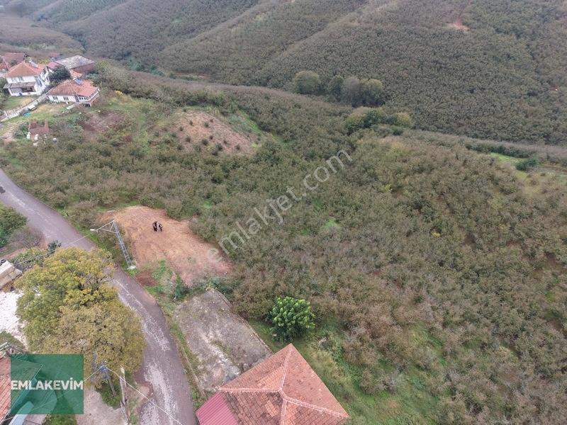 Emlak Evim - Hendek Dereköy De 1.750 M2 Konut İmarlı Arsa — fotoğraf 25