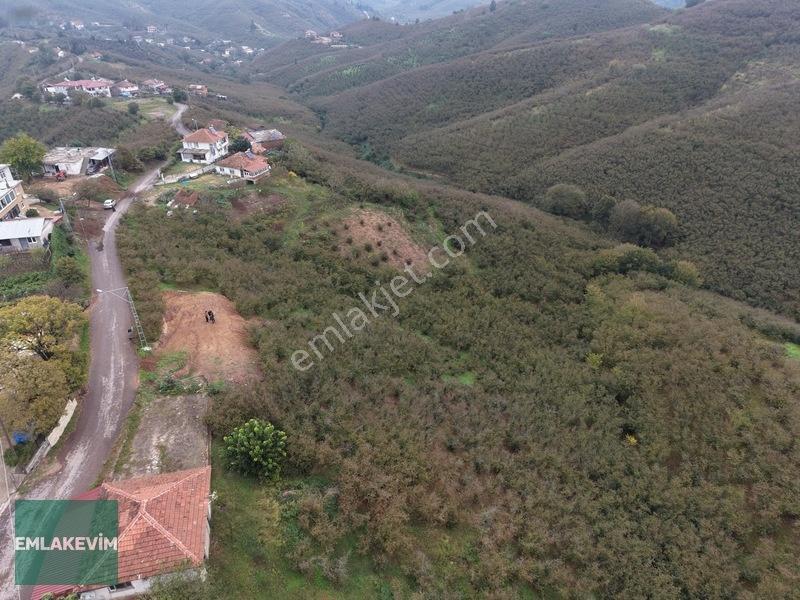 Emlak Evim - Hendek Dereköy De 1.750 M2 Konut İmarlı Arsa — fotoğraf 26
