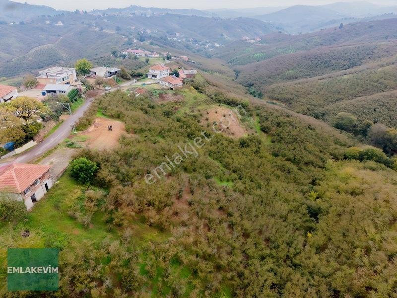 Emlak Evim - Hendek Dereköy De 1.750 M2 Konut İmarlı Arsa — fotoğraf 27