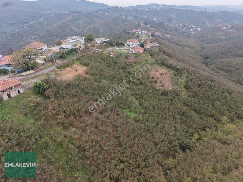 Emlak Evim - Hendek Dereköy De 1.750 M2 Konut İmarlı Arsa — fotoğraf 28