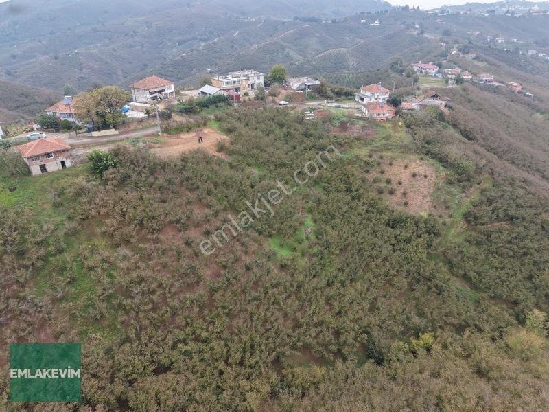 Emlak Evim - Hendek Dereköy De 1.750 M2 Konut İmarlı Arsa — fotoğraf 29