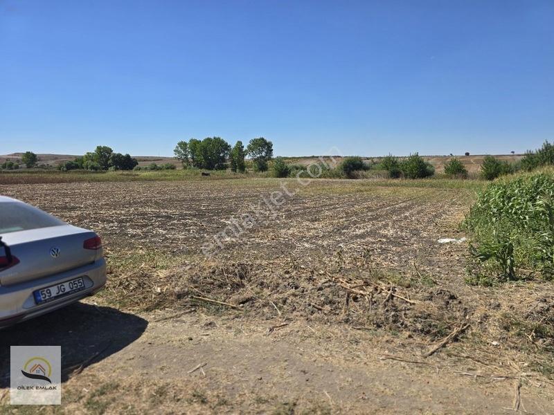 Saray Demirler Köyünde Tek Tapu 1.604 M2 Resmi Yola Cephe Kelepi — fotoğraf 12