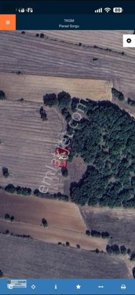 Altın Emlaktan Celaliye Köyünde Satılık 412 M2 Tek Tapu Tarla — fotoğraf 3