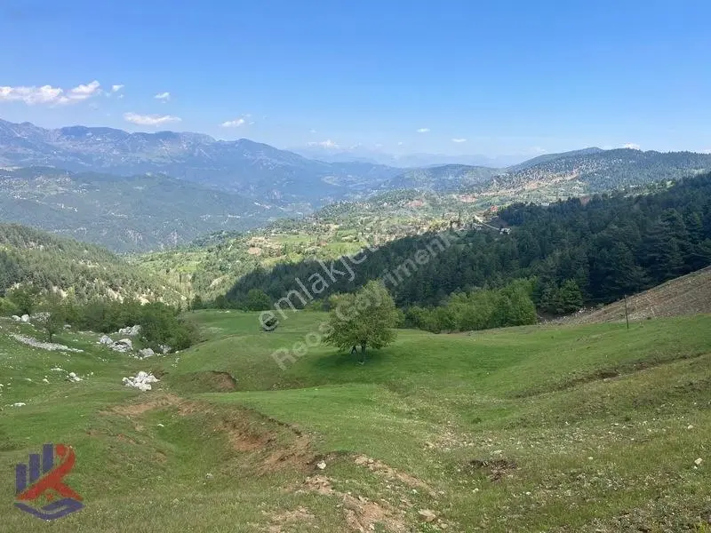 Reos'dan 10 Dönüm Avgasır Başkonuş Yaylasında Satılık Tarla — fotoğraf 10