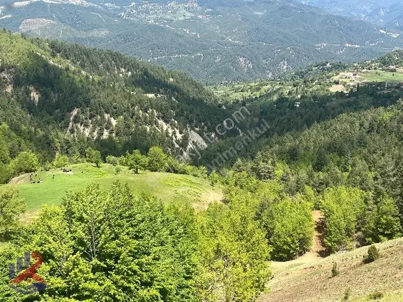 Reos'dan 10 Dönüm Avgasır Başkonuş Yaylasında Satılık Tarla — fotoğraf 29