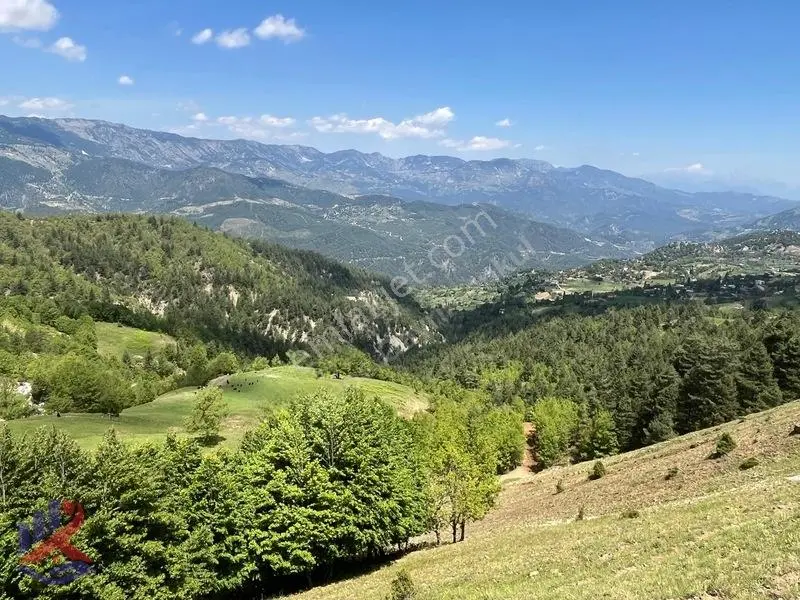 Reos'dan 10 Dönüm Avgasır Başkonuş Yaylasında Satılık Tarla — fotoğraf 33