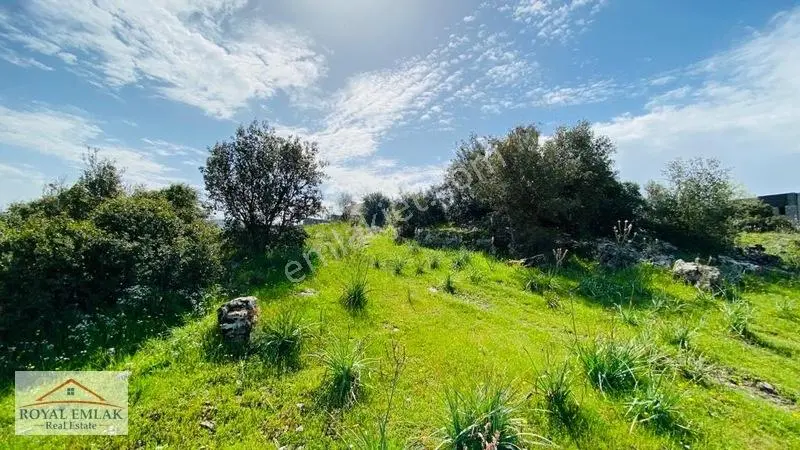 Muğla Milas Meşelikte Ful Göl Ve Deniz Manzaralı Satılık Arsa — fotoğraf 5
