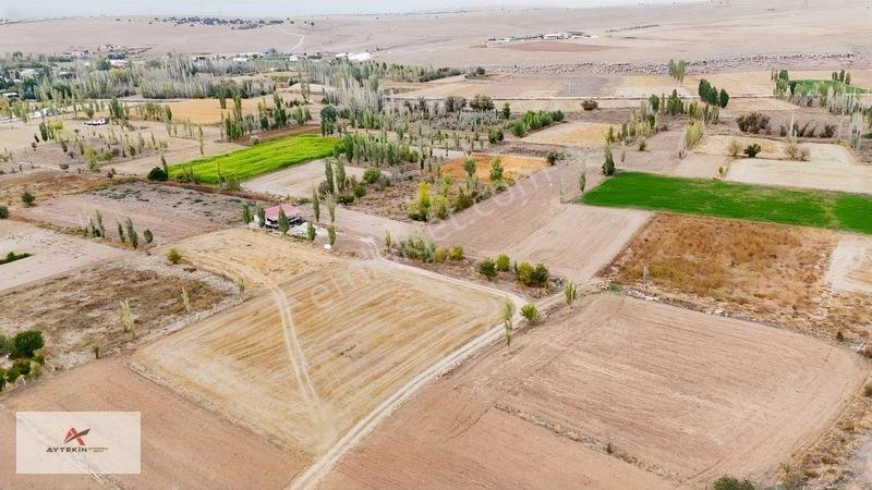 Orhaniye'de 726 M² Kavaklık! Stabilize Yolu Var Bahçe İçin İdeal — fotoğraf 8