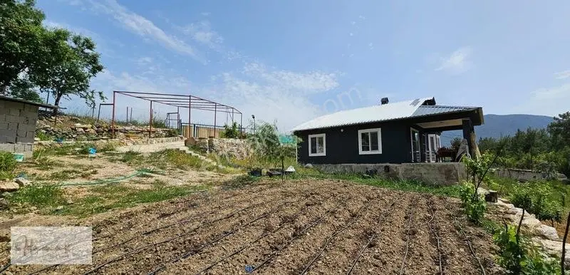 İdamax'tan Murtiçi'nde Satılık 6.402 M² Müstakil Çiftlik Ve Ev — fotoğraf 14