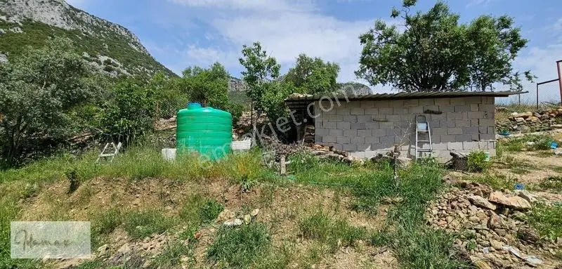 İdamax'tan Murtiçi'nde Satılık 6.402 M² Müstakil Çiftlik Ve Ev — fotoğraf 19