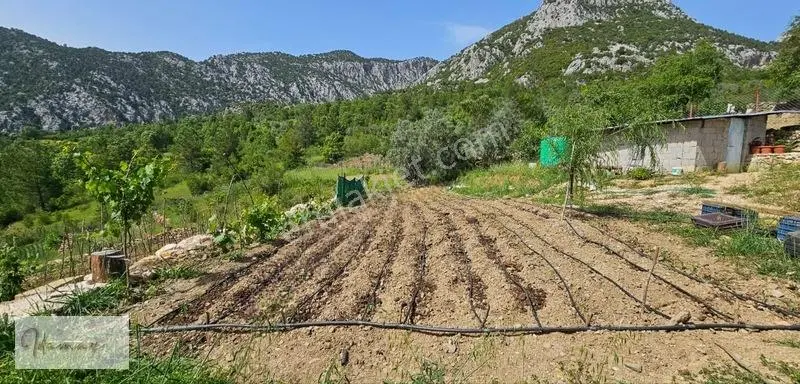İdamax'tan Murtiçi'nde Satılık 6.402 M² Müstakil Çiftlik Ve Ev — fotoğraf 20