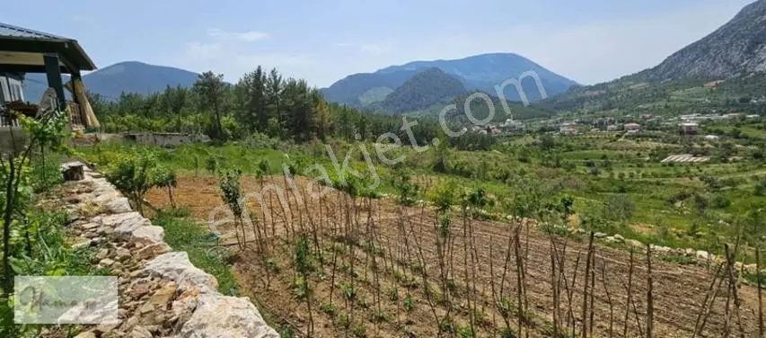 İdamax'tan Murtiçi'nde Satılık 6.402 M² Müstakil Çiftlik Ve Ev — fotoğraf 24