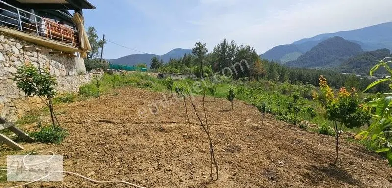 İdamax'tan Murtiçi'nde Satılık 6.402 M² Müstakil Çiftlik Ve Ev — fotoğraf 25
