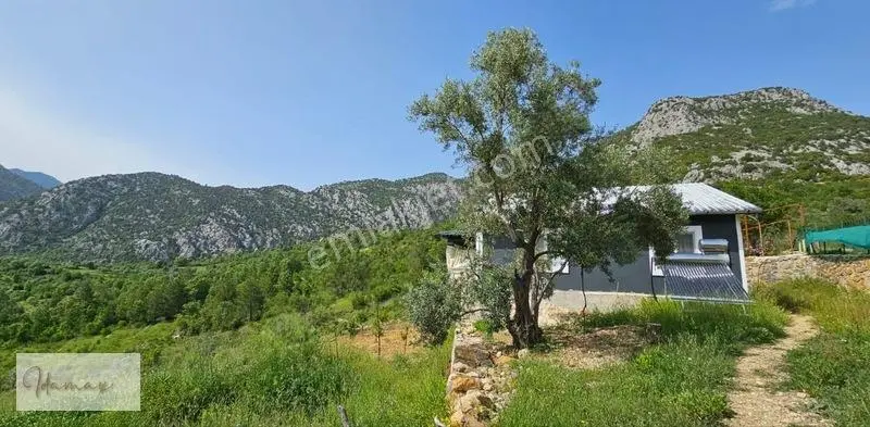 İdamax'tan Murtiçi'nde Satılık 6.402 M² Müstakil Çiftlik Ve Ev — fotoğraf 26
