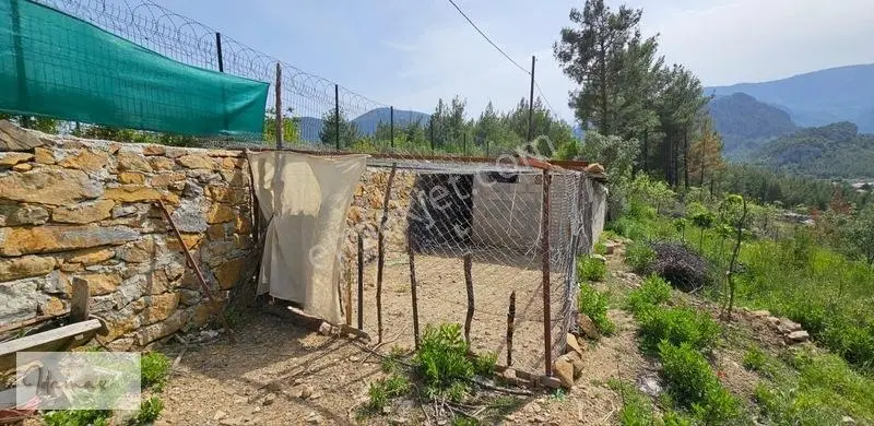 İdamax'tan Murtiçi'nde Satılık 6.402 M² Müstakil Çiftlik Ve Ev — fotoğraf 27