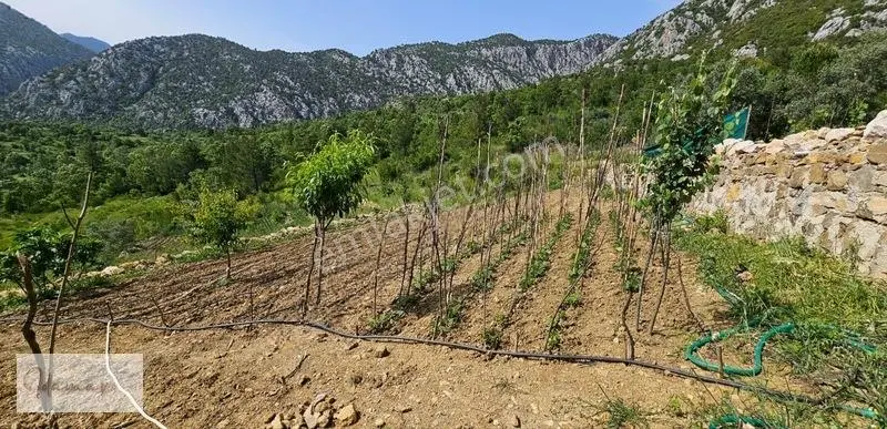 İdamax'tan Murtiçi'nde Satılık 6.402 M² Müstakil Çiftlik Ve Ev — fotoğraf 28