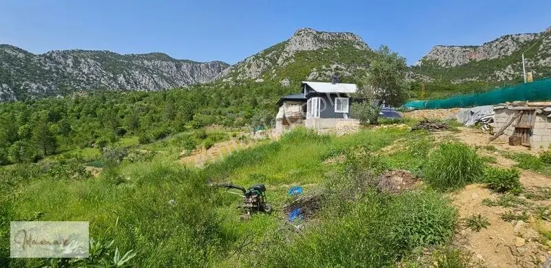 İdamax'tan Murtiçi'nde Satılık 6.402 M² Müstakil Çiftlik Ve Ev — fotoğraf 29