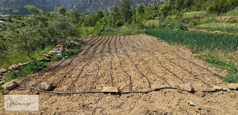 İdamax'tan Murtiçi'nde Satılık 6.402 M² Müstakil Çiftlik Ve Ev — fotoğraf 31