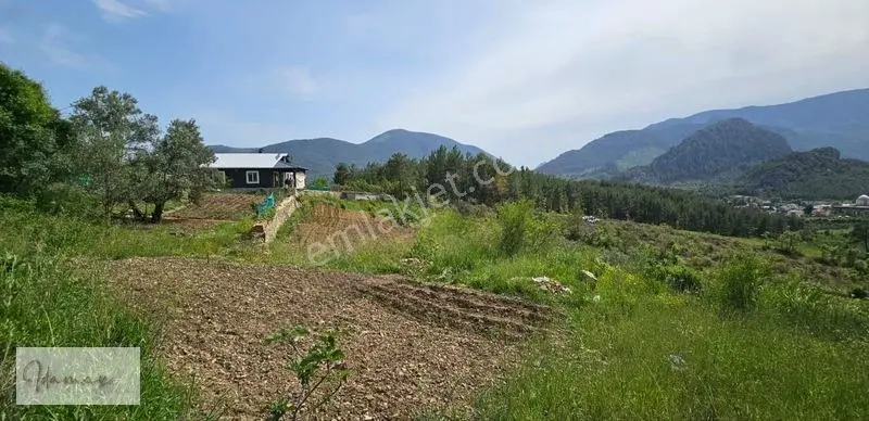İdamax'tan Murtiçi'nde Satılık 6.402 M² Müstakil Çiftlik Ve Ev — fotoğraf 33