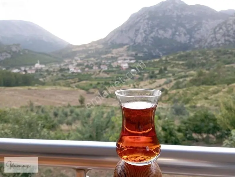 İdamax'tan Murtiçi'nde Satılık 6.402 M² Müstakil Çiftlik Ve Ev — fotoğraf 35