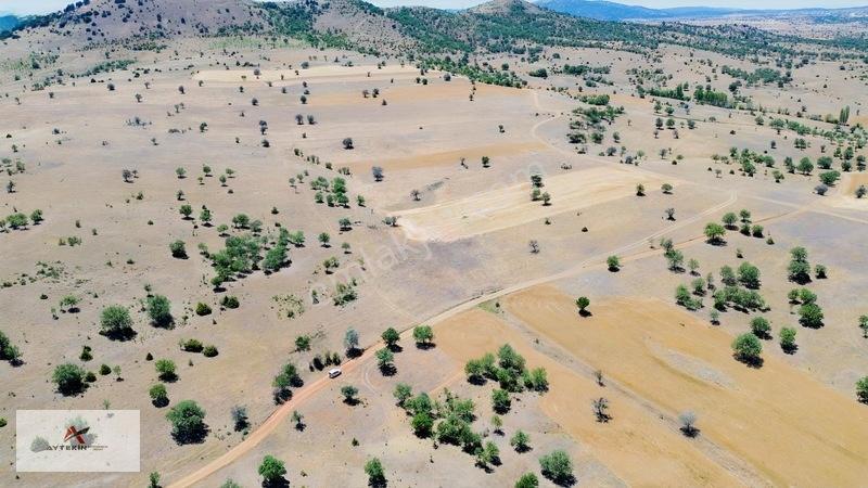 İçinde Ağaçlar Var, Resmî Yola Sıfır! 496 M² Müstakil Tarla!