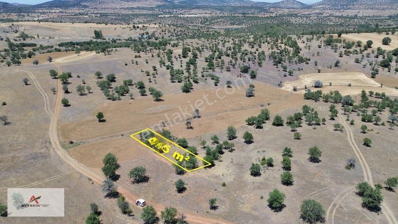 İçinde Ağaçlar Var, Resmî Yola Sıfır! 496 M² Müstakil Tarla! — fotoğraf 2