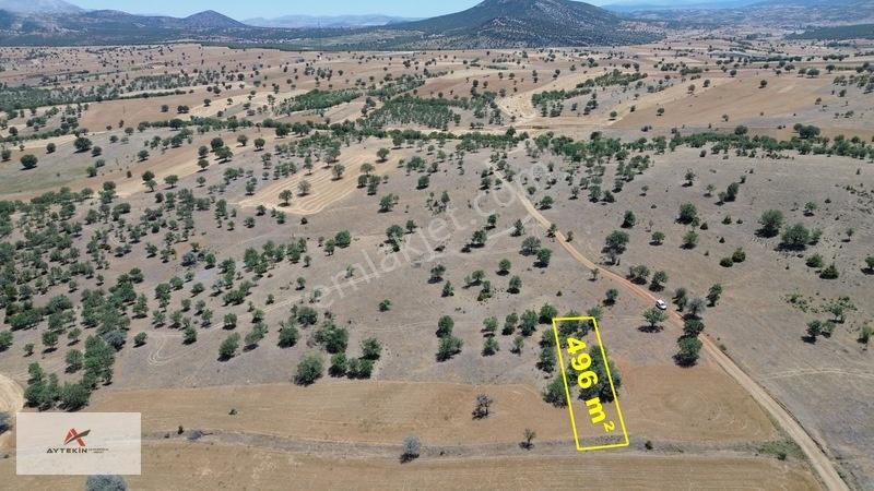 İçinde Ağaçlar Var, Resmî Yola Sıfır! 496 M² Müstakil Tarla! — fotoğraf 4