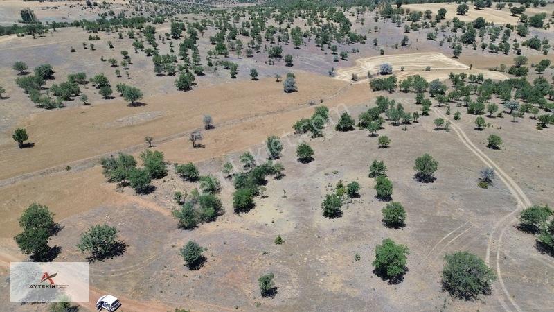 İçinde Ağaçlar Var, Resmî Yola Sıfır! 496 M² Müstakil Tarla! — fotoğraf 5