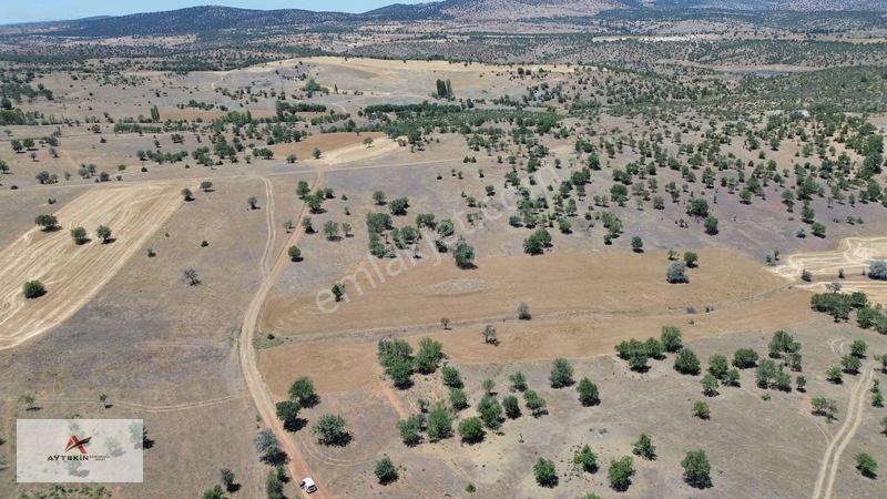 İçinde Ağaçlar Var, Resmî Yola Sıfır! 496 M² Müstakil Tarla! — fotoğraf 6