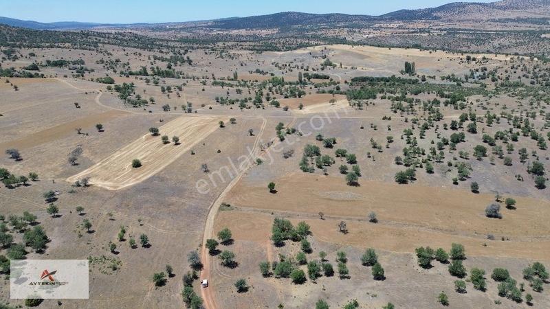 İçinde Ağaçlar Var, Resmî Yola Sıfır! 496 M² Müstakil Tarla! — fotoğraf 7
