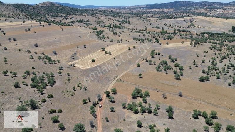 İçinde Ağaçlar Var, Resmî Yola Sıfır! 496 M² Müstakil Tarla! — fotoğraf 8