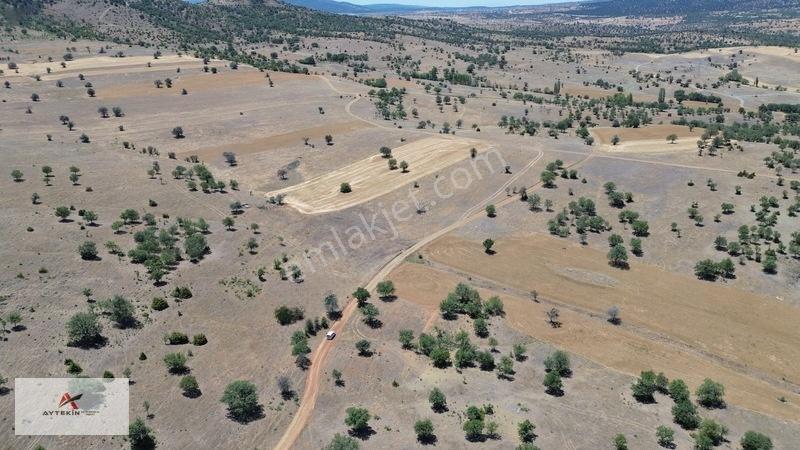 İçinde Ağaçlar Var, Resmî Yola Sıfır! 496 M² Müstakil Tarla! — fotoğraf 9