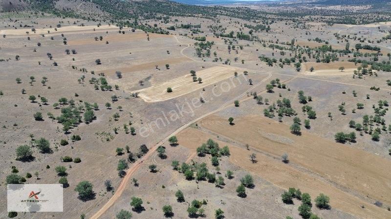 İçinde Ağaçlar Var, Resmî Yola Sıfır! 496 M² Müstakil Tarla! — fotoğraf 10