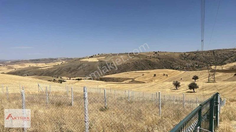 Aktürk Emlak Tan Karacalar Da Satılık Bahçe — fotoğraf 3