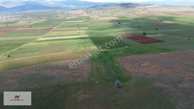 2.209 M² Müstakil Tarla! Yola Sıfır, Akörene Sadece 8 Km!