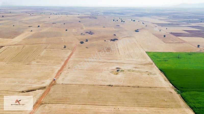 2.209 M² Müstakil Tarla! Yola Sıfır, Akörene Sadece 8 Km! — fotoğraf 5