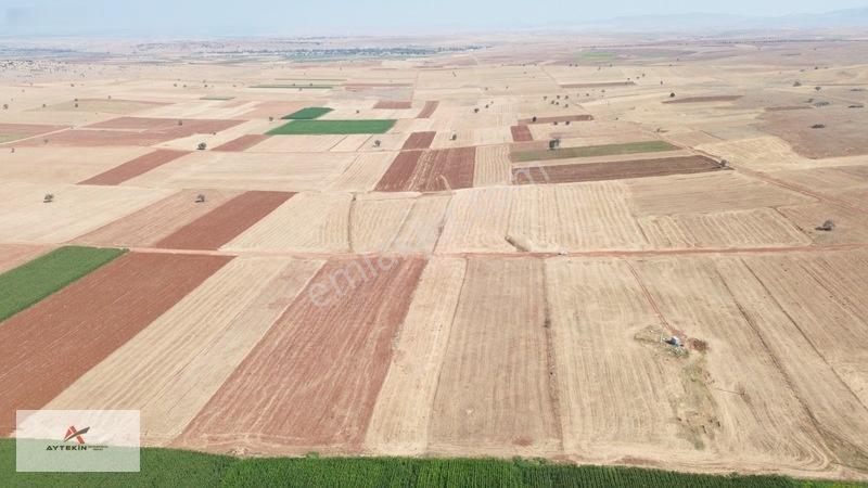 2.209 M² Müstakil Tarla! Yola Sıfır, Akörene Sadece 8 Km! — fotoğraf 6