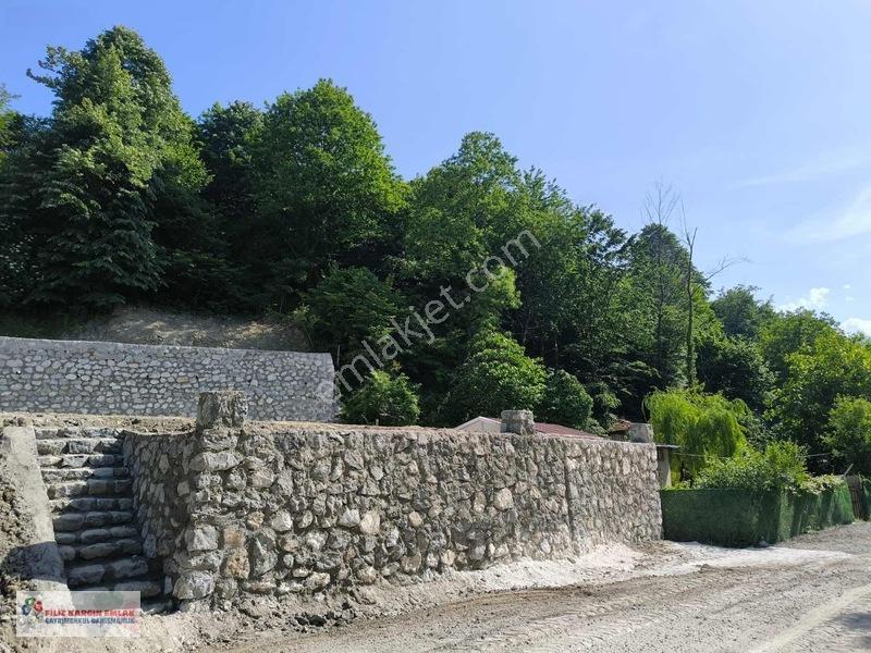 Sapanca Şükriyede Doğa İle İç İçe İmarlı Arsa