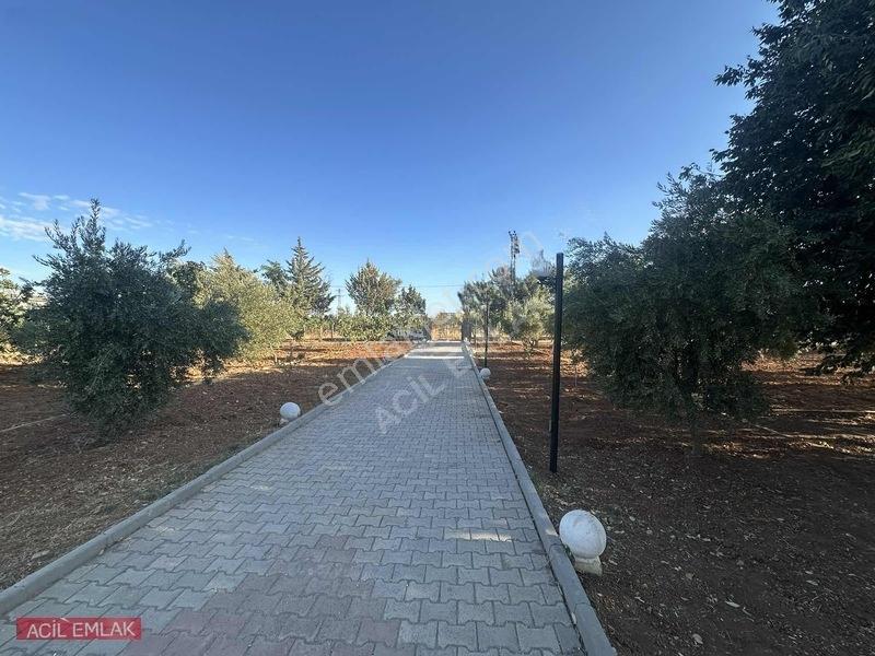 Acil Emlak'tan Gölpınar'da Bağ Evi — fotoğraf 2